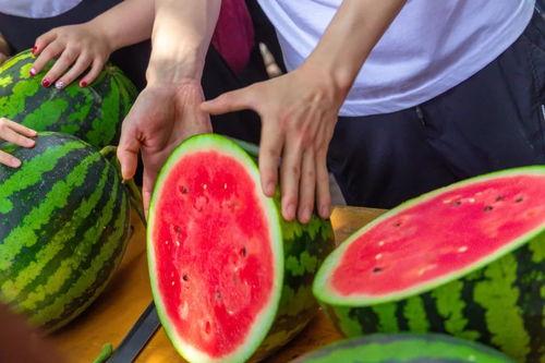 天津大学吃瓜视频,揭秘校园生活趣味瞬间