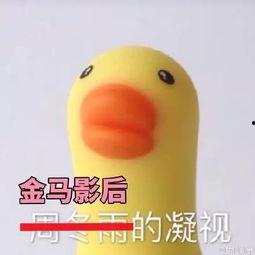 小黄鸭吃瓜表情包,趣味横生的网络文化现象