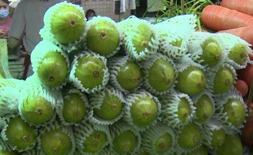 露露吃葫芦瓜,露露的葫芦瓜美食之旅