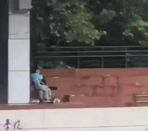 国内学校吃瓜视频,揭秘校园美食背后的故事