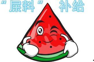 大型吃瓜破防现场,网友破防瞬间揭秘