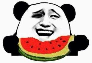 你喊我吃瓜,跟随我一起吃瓜，探寻明星背后的故事