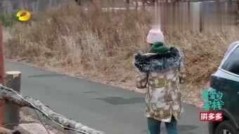 吃马桶瓜,揭秘网络热词背后的趣味与思考