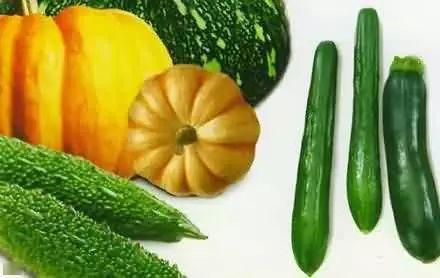 吃瓜取暖,揭秘娱乐圈的“暖冬秘籍”