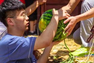 大学晚会吃瓜,笑料百出,欢乐无限