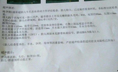 吃瓜孕检单,吃瓜孕妈的健康之旅