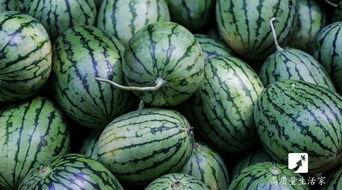 吃的瓜都有什么,盘点那些令人垂涎欲滴的瓜类美食