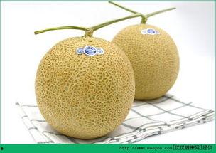 宝宝最喜欢吃哈密瓜吗,揭秘哈密瓜的甜蜜诱惑