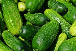 梦见老公分瓜吃,揭秘梦见老公分瓜吃的寓意