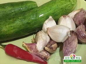 小瓜怎么凉吃,小瓜的凉吃秘籍