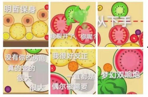 泡泡吃瓜网站多少,热门话题背后的真相与趣味