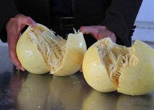 鱼翅瓜怎样吃最好吃,解锁最佳食用秘诀