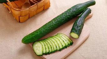 吃蟑螂瓜,挑战味蕾的极限美食探索