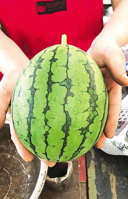 最新成都吃瓜事件,揭秘网络热议背后的真相