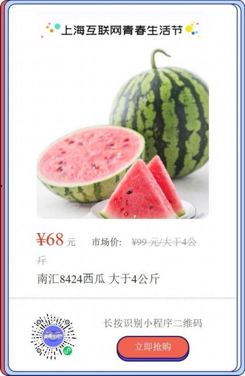 上海吃瓜的少女,轻松校园生活剪影