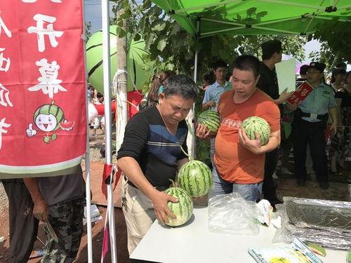 现场围观吃瓜,吃瓜群众的狂欢盛宴