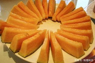 哈密瓜嫩瓜怎么吃才好吃,解锁最佳食用秘诀