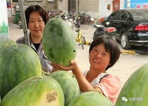 皓月小区吃瓜,揭秘邻里纷争背后的真相