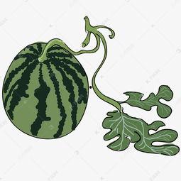 大瓜吃瓜素材图片大全集,揭秘娱乐圈幕后故事，海量素材图片大盘点