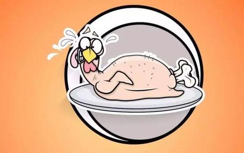 歪瓜吃鸡日常,欢乐逗趣，畅享游戏时光