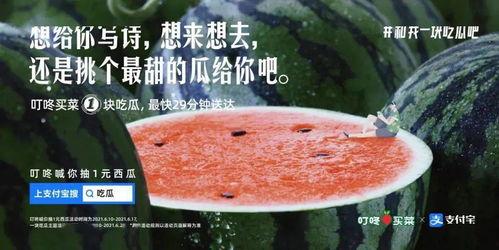 姐妹叫我吃瓜文案,一起吃瓜，畅谈娱乐圈风云