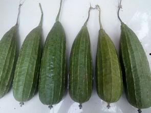 感谢老板吃瓜,我们一起来吃