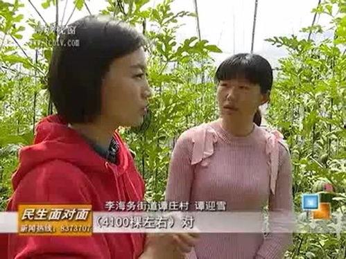 朱庄吃瓜事件,一场引发社会热议的乡村奇闻