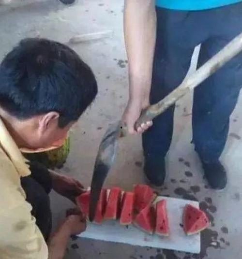 吃瓜铁锹铲,揭秘农业新宠儿的神奇魅力